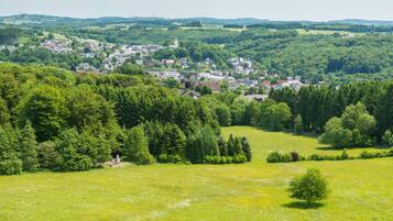 Un paysage rural avec un village niché au milieu de champs verdoyants et d’arbres.