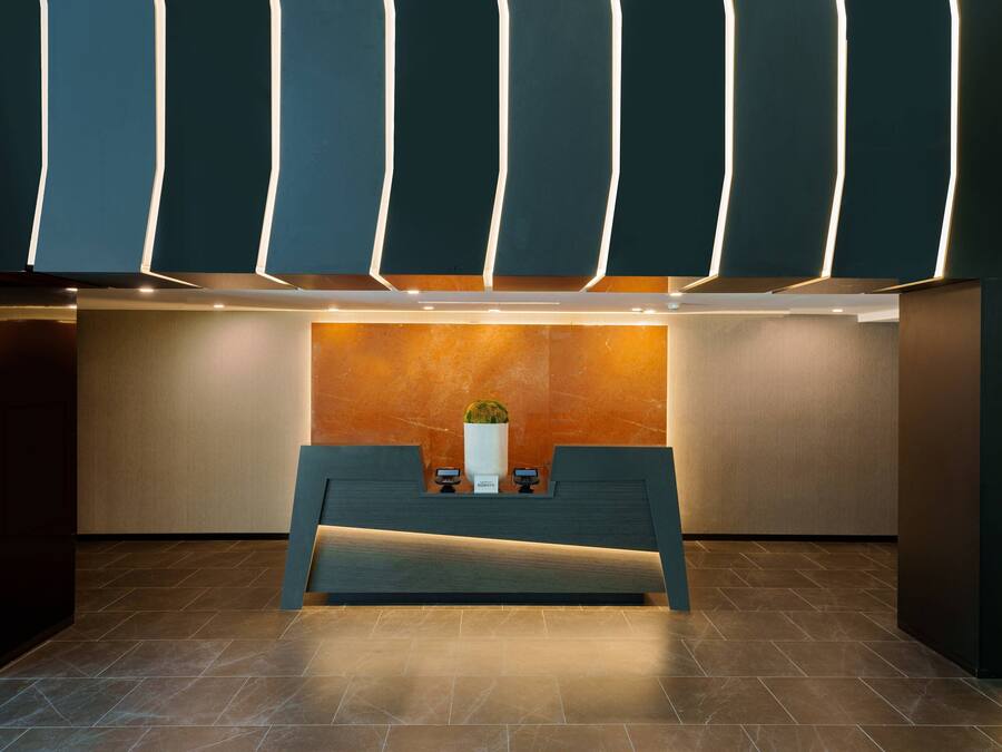 A reception desk with a modern design, a vase with a plant, and a wall with vertical light strips.