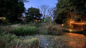 A nighttime outdoor area with a pond, surrounded by vegetation and trees. - Foxglove - Barn Conversion - Blossom  Farm (Haverfordwest)