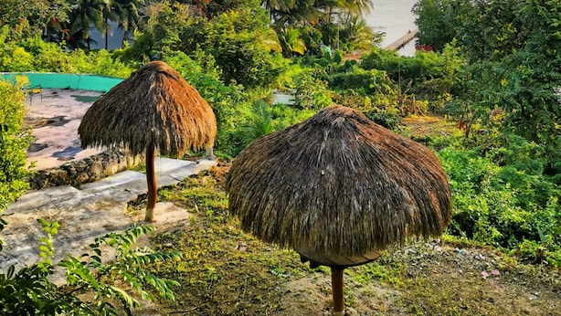 Un jardín tropical con sombrillas de paja y vista a un cuerpo de agua.