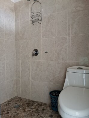 Regadera, regadera tipo lluvia, amenidades de baño gratuitas, bidet 