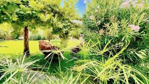 A garden with a variety of plants and a bench. - Asteraki Beach House (Acharavi)