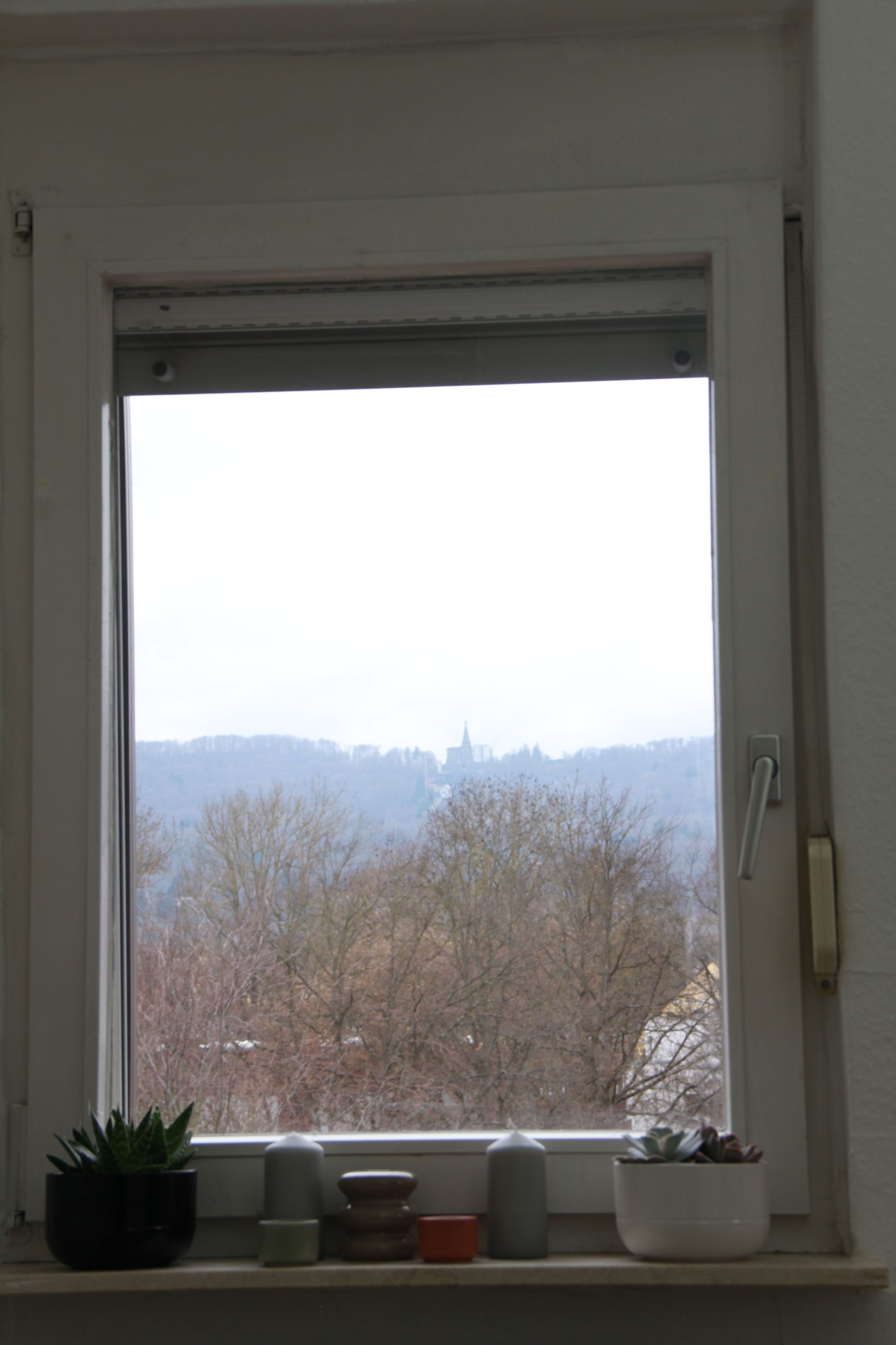 A window with a view of trees and buildings.