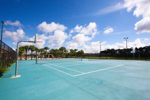 An outdoor basketball court with a net, surrounded by palm trees and a clear sky. - 8965 Paradise (Kissimmee)
