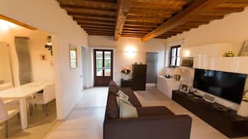 Smart TV, fireplace, books