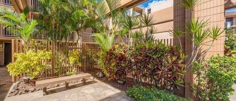 A courtyard with a stone pathway, palm trees, and a variety of plants.