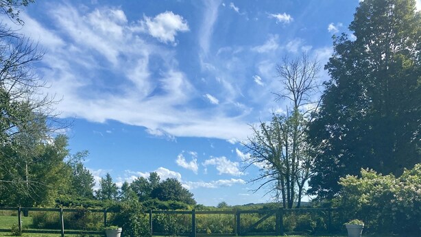 A rectangular swimming pool with clear blue water, surrounded by a wooden fence and trees. - Tower Hill - Hilltop Country Retreat with Panoramic Views  (Millbrook)