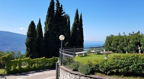 Terras