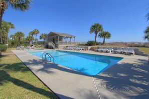 A rectangular swimming pool with a deck area, surrounded by lounge chairs and palm trees.