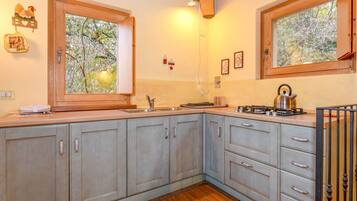 Fridge, microwave, stovetop, electric kettle