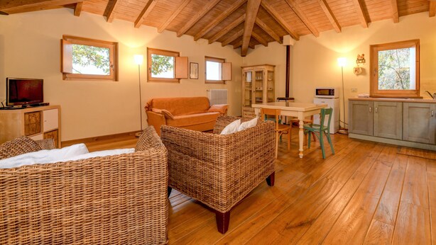 Une pièce chaleureuse avec un plafond en bois, des meubles en osier, une télévision et un coin repas.