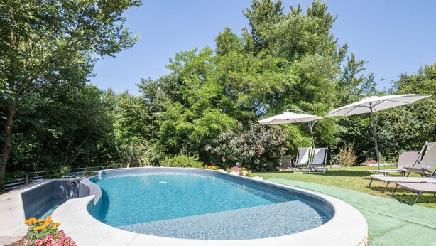 A swimming pool with a curved edge, surrounded by a grassy area with trees and a few lounge chairs.