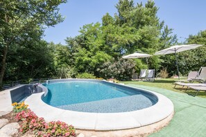 Ein Pool mit geschwungener Kante, umgeben von einer Rasenfläche mit Bäumen und einigen Liegestühlen.