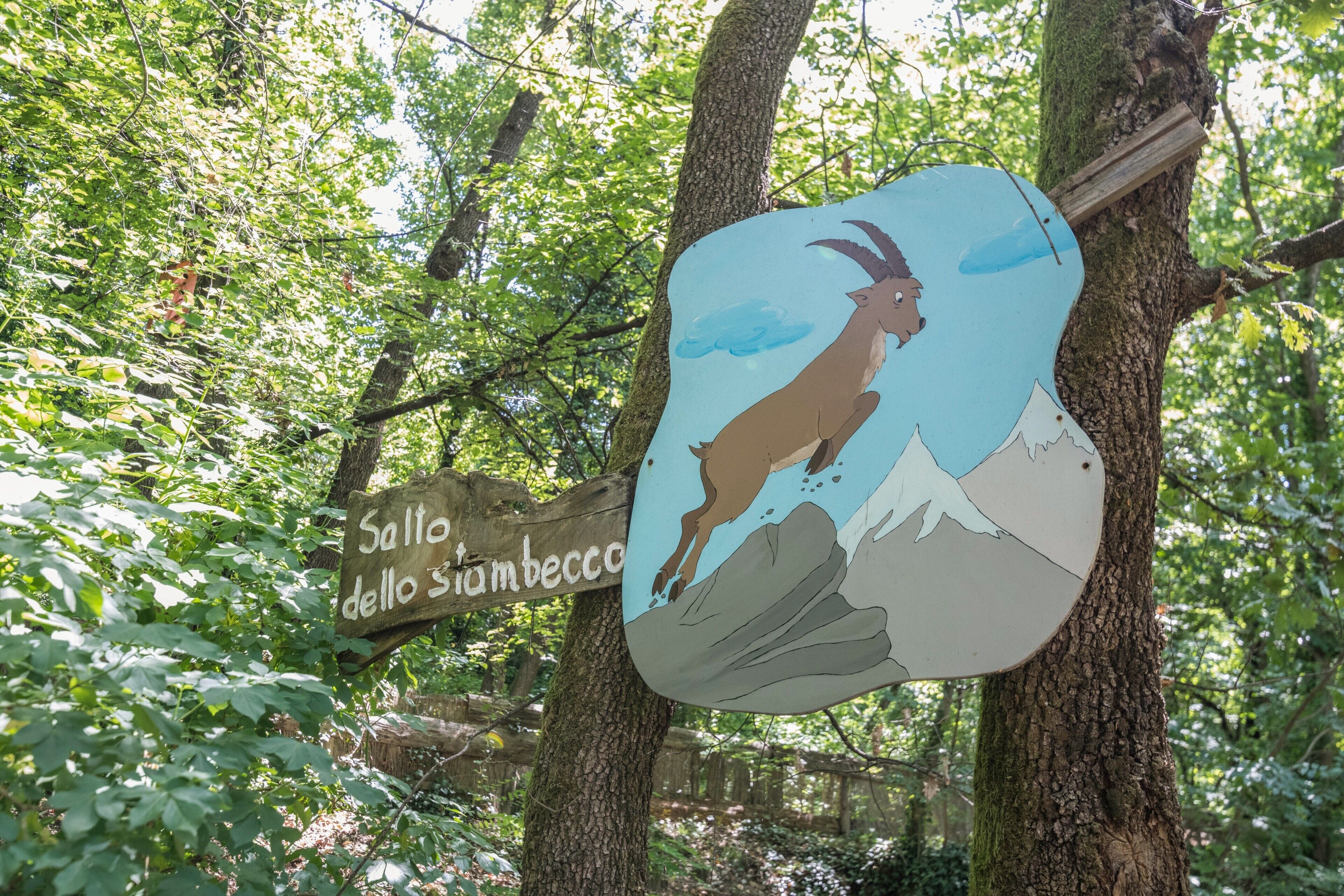 A sign with a goat illustration and the text 'Salto dello Sambècco' in a forest setting.