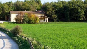Une maison de campagne avec une allée pavée, entourée d’un champ clôturé et d’arbres denses.
