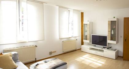 Vacations in the heart of Koblenz's old town<br>for 1 to 5 people