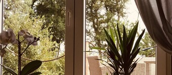 Gulfhof vacation apartment "Spiekeroog" on the nature reserve with a fantastic view
