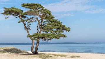 PĂ„ stranden och solstolar