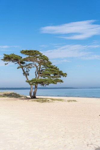 Lägenhet på Stranden i Åhus med Havsutsikt och Närhet Till Spa & Utomhuspool