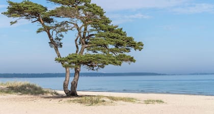 Lägenhet på Stranden i Åhus med Havsutsikt och Närhet Till Spa & Utomhuspool