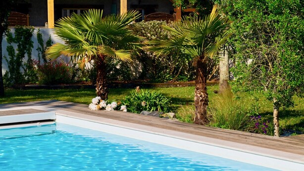A swimming pool with a wooden deck, surrounded by palm trees and various plants.