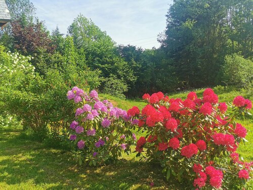 Chalet de l'écureuil, petanque ground in the Vosges mountains near Gérardmer and Alsace
