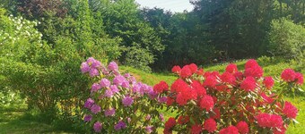 Chalet de l'écureuil, petanque ground in the Vosges mountains near Gérardmer and Alsace
