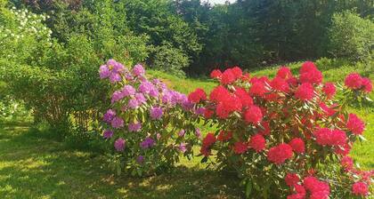 Chalet de l'écureuil, terrain pétanque massif Vosgien proche Gérardmer et Alsace