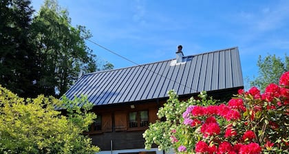 Chalet de l'écureuil, petanque ground in the Vosges mountains near Gérardmer and Alsace