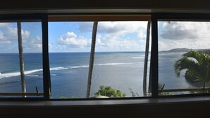 A view through a window with a beach and palm trees.