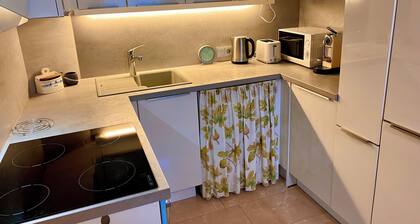 Stilvolles Apartment Steyr, 2 Schlafzimmer, parken im abgeschlossenem Garten.