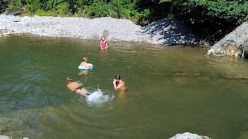 Miscelánea