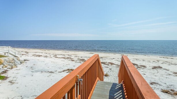 A wooden boardwalk leading to a sandy beach with the ocean in the background. - AWESOME VIEW... On Private Gulf of Mexico Beach... Majestic Views  🐢🌴🌞 (Alligator Point)