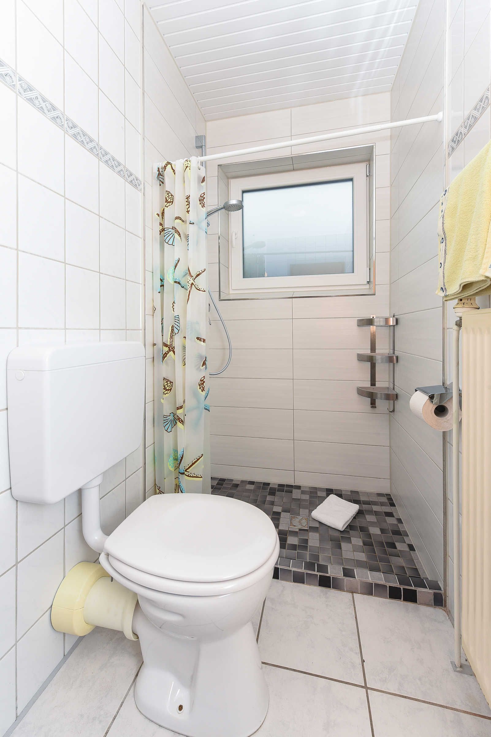 Een badkamer met toilet, douche en raam.