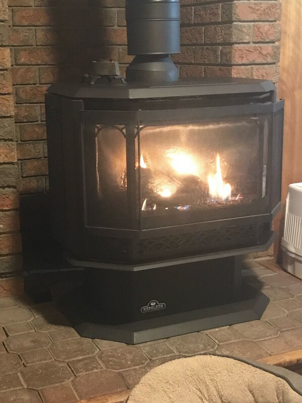 A wood-burning stove with a glass front, placed on a stone floor.