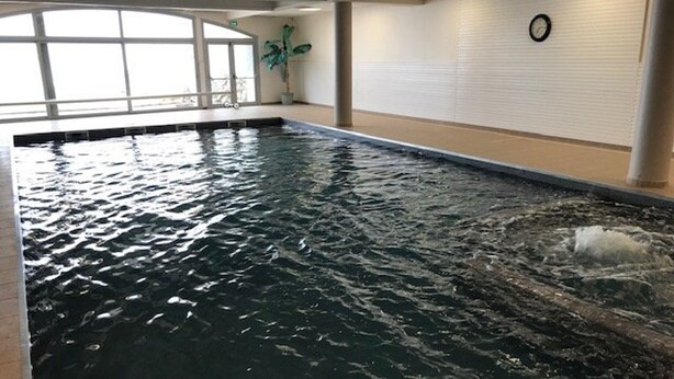 An indoor swimming pool with clear water, a clock on the wall, and a potted plant. - Studio cabin, pets allowed - 4 guests (La Mongie)