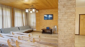 Televisión, chimenea y videojuegos 