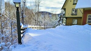 Un chemin enneigé menant à une maison avec un lampadaire.