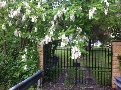 Country villa for 18 people surrounded by nature with private beach. WIFI