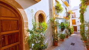 A narrow alleyway with white buildings, wooden doors, and potted plants.