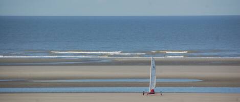 A beach with a sailboat and birds.
