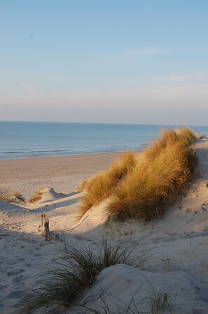 Plage à proximité