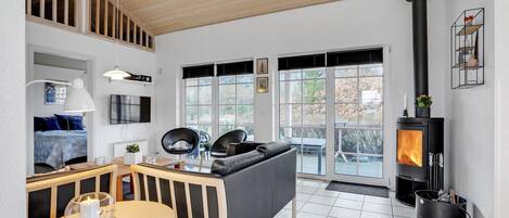 TV, fireplace, DVD player
