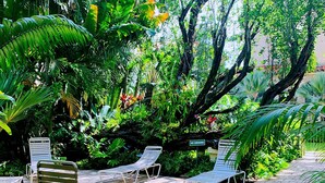 Un jardín con sillones de descanso y un sendero pavimentado, rodeado de exuberante vegetación.