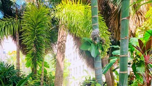 Un exuberante jardín con diversas plantas tropicales, un sendero pavimentado y una pequeña mesa con una lámpara.