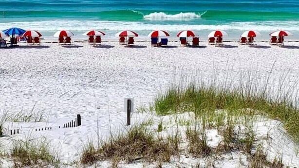 Una playa con hileras de sombrillas y sillas de playa.