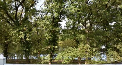 Apartment with magnificent lake view