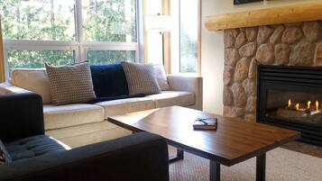 Smart TV, fireplace, books