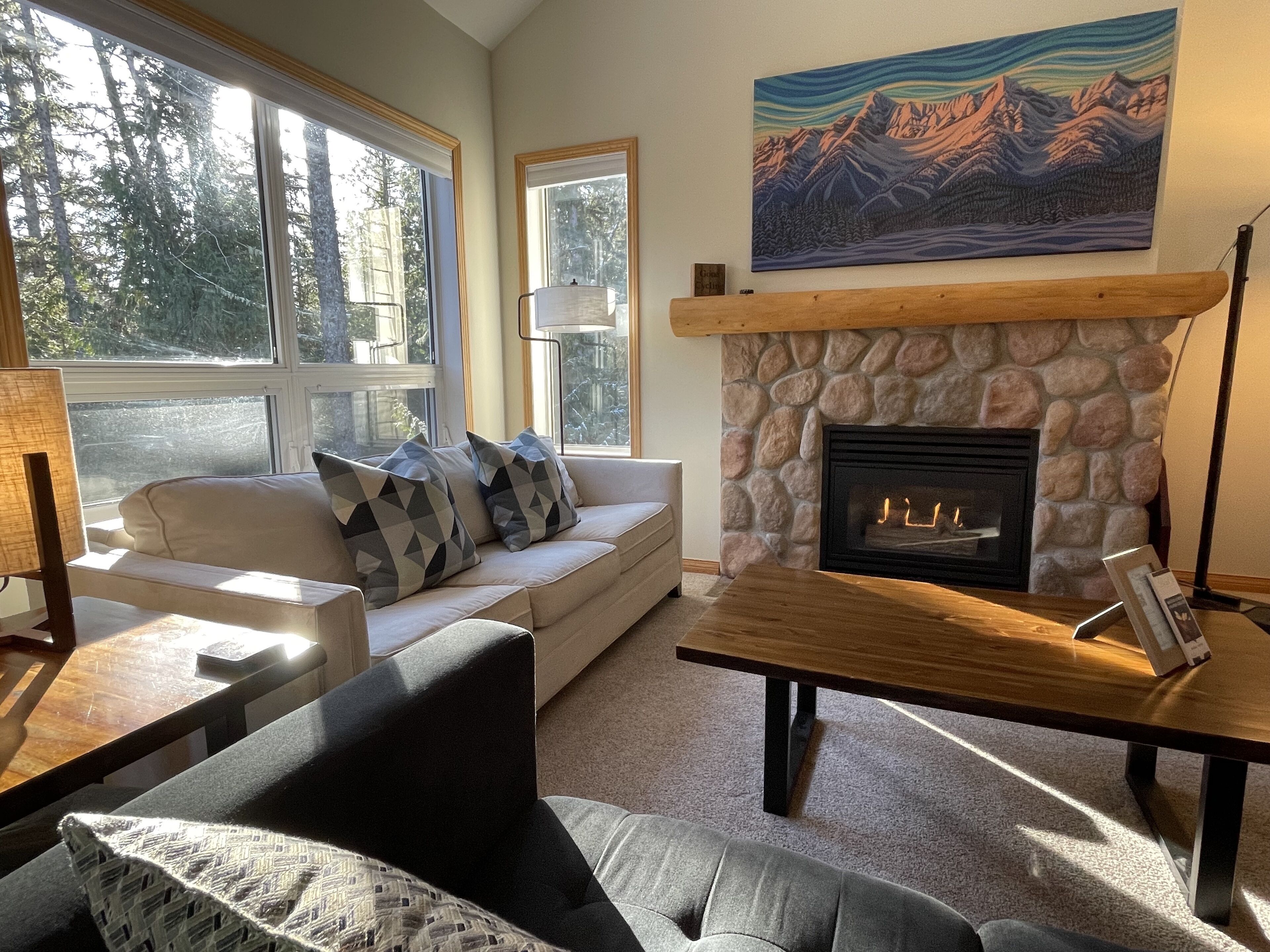 TV connectée, cheminée, livres