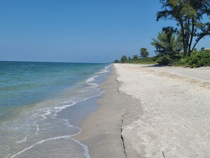 A beach with clear blue water, sandy shore, and trees.